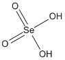 ���������͍\����:20B0291