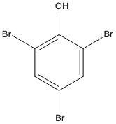 ���������͍\����:20B0447