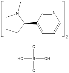 ���������͍\����:20B1069