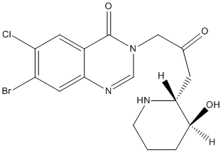 ���������͍\����:20B1098