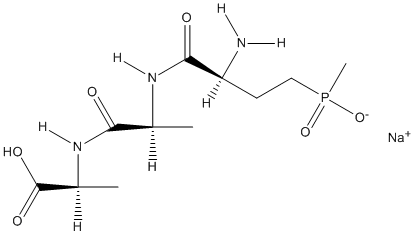 ���������͍\����:20B1116
