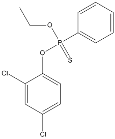 ���������͍\����:20B1136