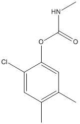 ���������͍\����:20B1178