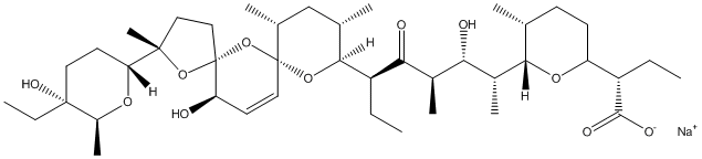 ���������͍\����:20B1208