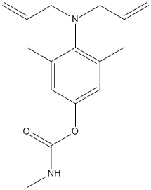 ���������͍\����:20B1209