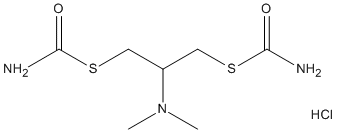 ���������͍\����:20B1229