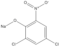 ���������͍\����:20B1235
