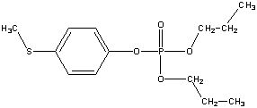 ���������͍\����:20B1242
