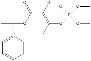 ���������͍\����:20B1251