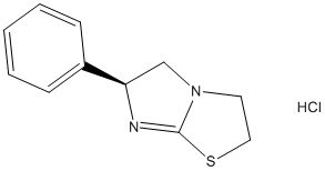 ���������͍\����:20B1289