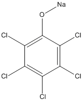 ���������͍\����:20B1350