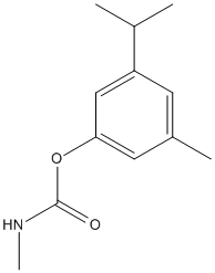 ���������͍\����:20B1354