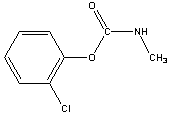 ���������͍\����:20B1355