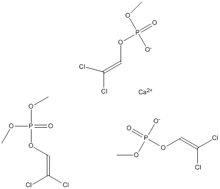 ���������͍\����:20B1359