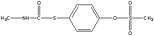 ���������͍\����:20B1362