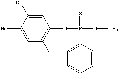 ���������͍\����:20B1366