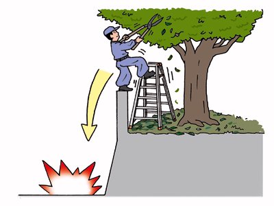 植木の剪定中に脚立と共に墜落する