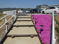 駐車場アクセスの改善