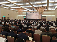安全大会