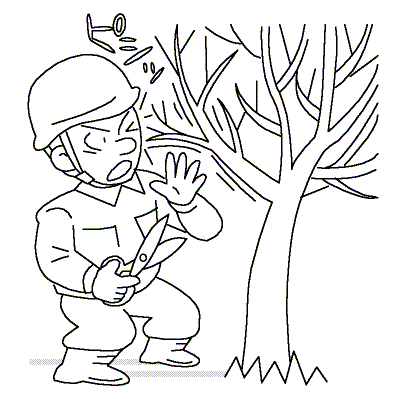 剪定作業中に、枝が弾けて眼に当たりそうになった