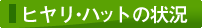 �q�����E�n�b�g�̏�