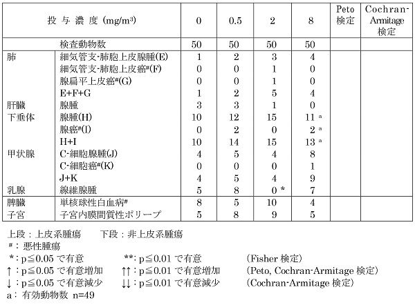 �_���`�^���i�i�m���q�A�A�i�^�[�[�^�j�̂��񌴐������ɂ������Ȏ�ᇔ����i���b�g���j