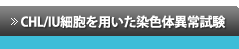 CHL/IU�זE��p�������F�ُ̈펎��